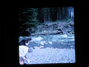 Picture 24