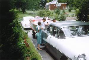 Picture 6