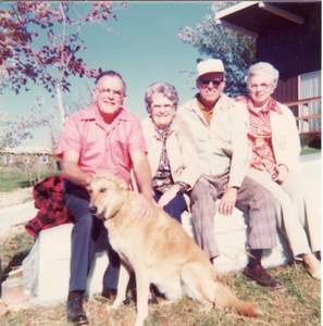Picture 29
