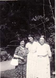 Picture 49