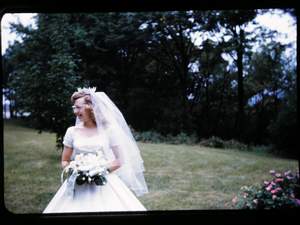 Picture 36