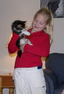 Picture 5
