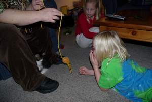Picture 6