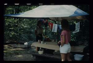 Picture 110