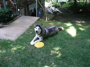 Picture 19