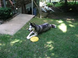 Picture 20