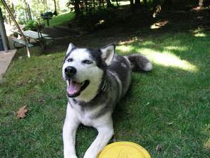Picture 24