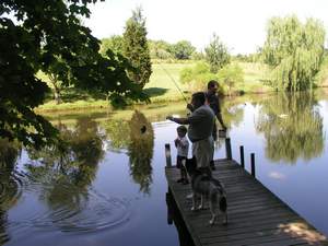 Picture 29