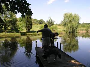 Picture 30