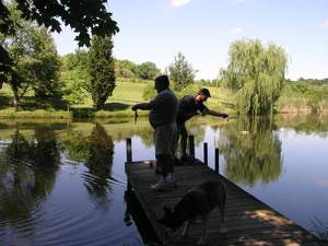 Picture 31