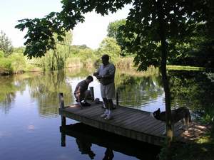Picture 32