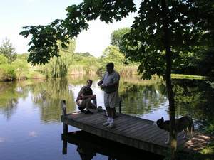 Picture 33