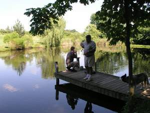Picture 35