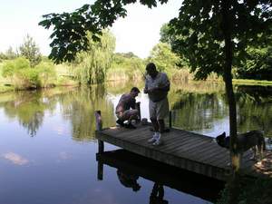 Picture 37