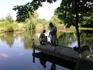 Picture 38