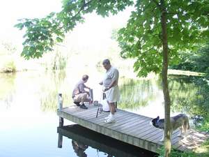 Picture 39