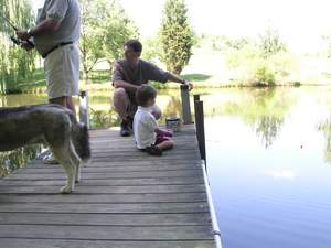 Picture 40