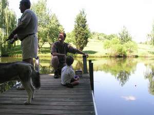 Picture 41