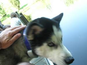Picture 44