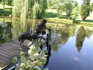 Picture 54