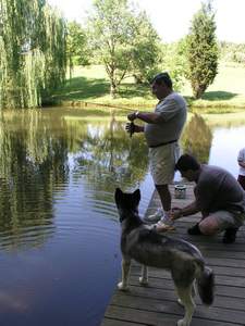 Picture 64