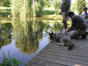 Picture 72