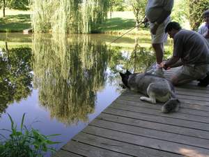 Picture 73