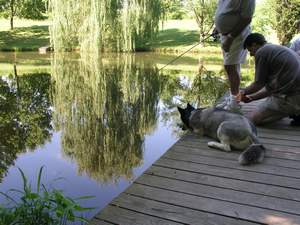 Picture 74