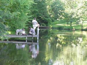 Picture 80