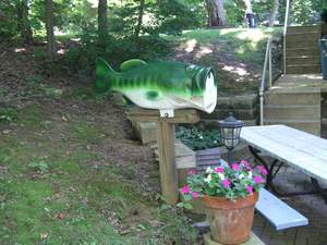Picture 81