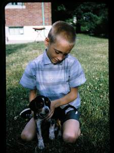 Bill and Boots 2 Picture 84