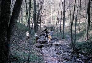 Picture 162