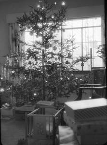 Christmas Tree at Hilda and Henrys Picture 214