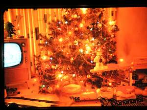 Christmas Tree on McPherson Picture 215