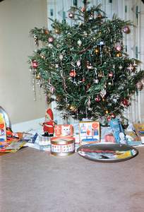Christmas on McPherson Picture 206
