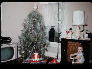 Christmas tree somewhere Picture 216