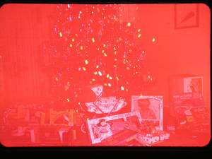 Christmas tree Picture 217