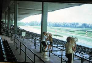 Hialeah race track Picture 309
