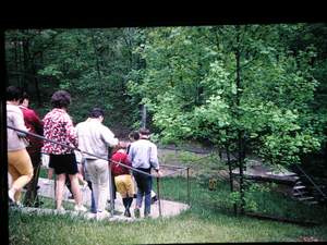 Mammoth Caves 1 Picture 378