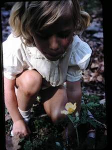 Mary with Flower Picture 397