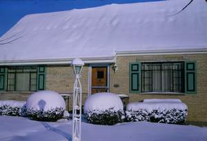 Snow on Lilibet Picture 556