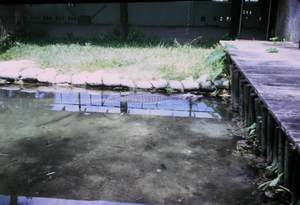 Zoo Picture 595