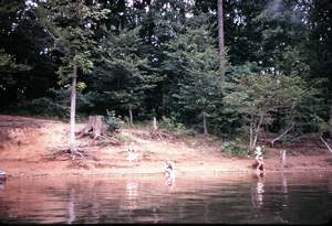 camping Picture 176