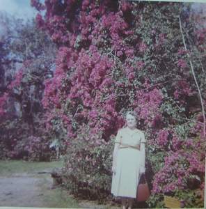 195 Hilda 3 Picture 195
