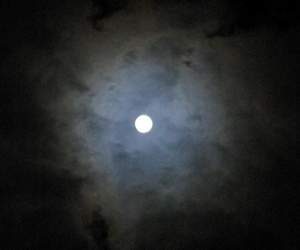Picture 1